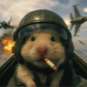 New UGG Tazz Tasman Sandals Women Slipper